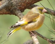 Spring2026-10.jpg