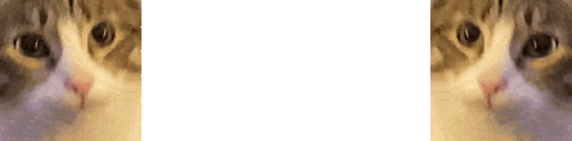image0.gif
