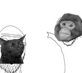 WOJAK-POINTING-cat-monkey-6.jpg
