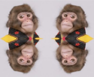 1779306930056.png