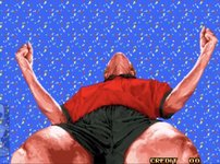IMG_4368.jpeg