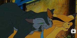 HattoriThx4RecommendingFelidae.jpg HattoriThx4RecommendingFelidae.jpg