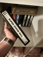 IMG_7648.jpeg
