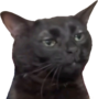 1000000160.png