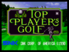 Top player golf1.png
