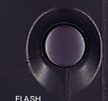 Flash Intro