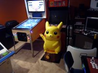 pika1.jpg