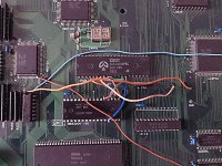IMG_3479_a.jpg