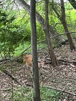 IMG_6359.jpeg