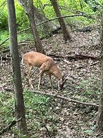 IMG_6362.jpeg
