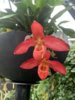 IMG_3566.jpeg