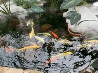 IMG_3569.jpeg