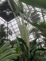 IMG_3570.jpeg