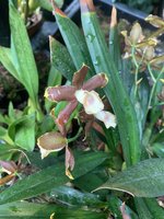 IMG_3565.jpeg