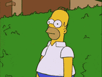 IMG_4187.gif