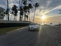 IMG_2878.jpeg