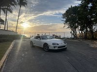 IMG_2880.jpeg