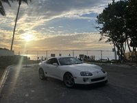 IMG_2881.jpeg