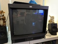 IMG_6114.jpeg
