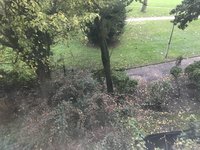 IMG_2806.jpeg
