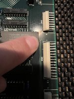 IMG_4338.jpeg
