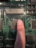 IMG_4340.jpeg