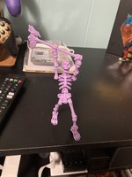 IMG_7214.jpeg