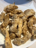 IMG_2419.jpeg