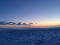 IMG_2451.jpeg
