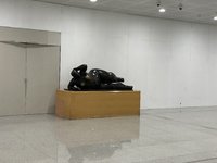 IMG_5736.jpeg