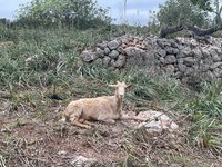 IMG_5664.jpeg