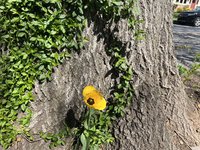 IMG_7786.jpeg