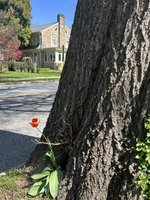 IMG_7787.jpeg