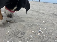 IMG_9476.jpeg