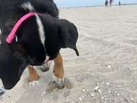 IMG_9475.jpeg
