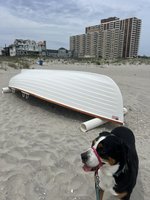 IMG_9471.jpeg