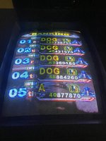 1751141891763.jpeg
