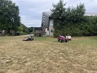 IMG_7347.jpeg