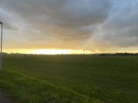 IMG_7441.jpeg