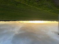 IMG_7441.jpeg