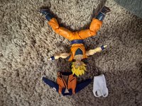 IMG_2675.jpeg