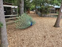 20250708_140950.jpg