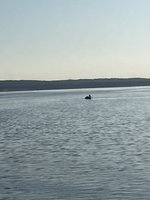 IMG_3772.jpeg
