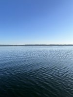 IMG_3771.jpeg