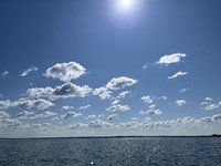 IMG_3775.jpeg