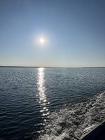 IMG_3769.jpeg