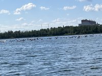 IMG_3798.jpeg