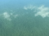 IMG_3805.jpeg