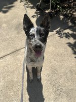 IMG_6495.jpeg