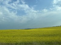 IMG_3837.jpeg